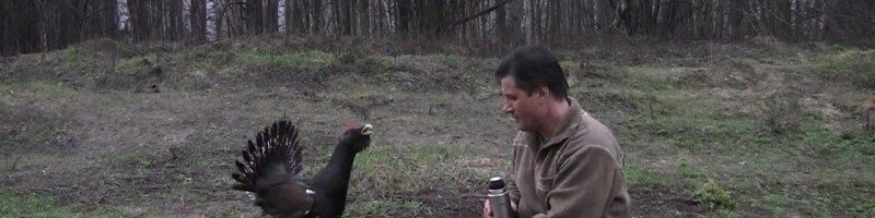 Храбрый глухарь. Часть 2. смотреть видео онлайн
