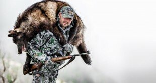 Где, как в 2015 году можно получить лицензию на охоту Где, как в 2015 году можно получить лицензию на охоту