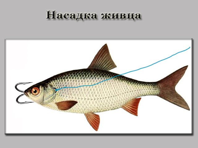 Стихи поздравления друга с днем рождения от подруги для 50